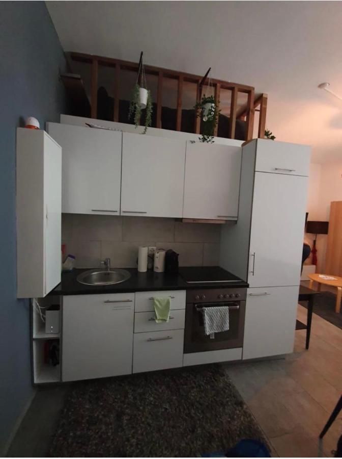 Modern Studio With Mezzanine Le Mont-Sur-Lausanne Ngoại thất bức ảnh