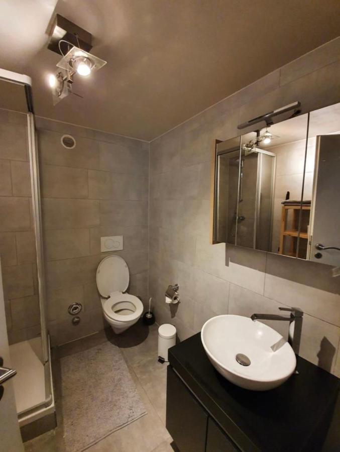 Modern Studio With Mezzanine Le Mont-Sur-Lausanne Ngoại thất bức ảnh
